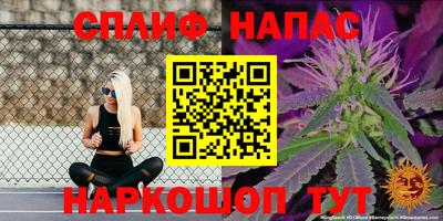не бодяженный Камышлов