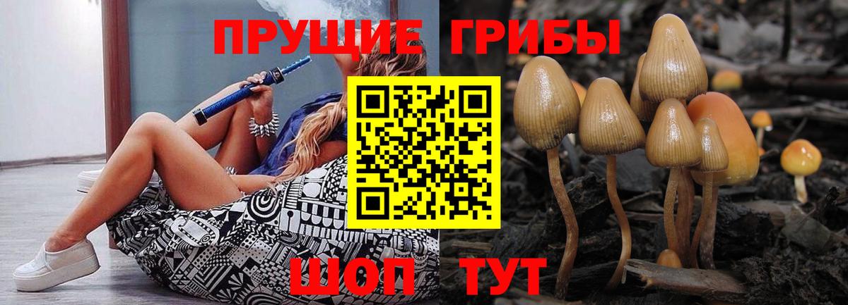 Красногорск  Псилоцибиновые грибы ЛСД  Вход с VPN  купить наркотики цена  Галлюциногенные грибы Cubensis 