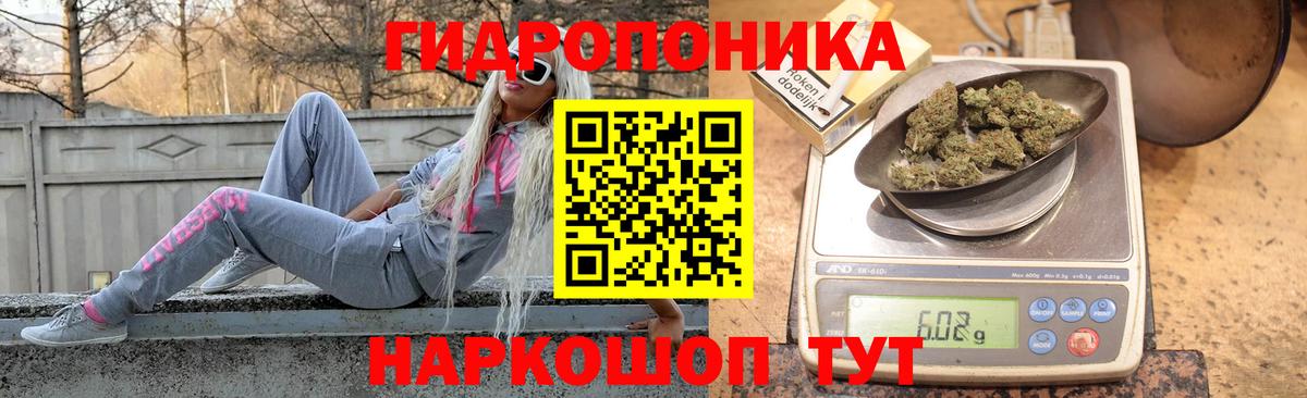 Конопля планчик Красногорск